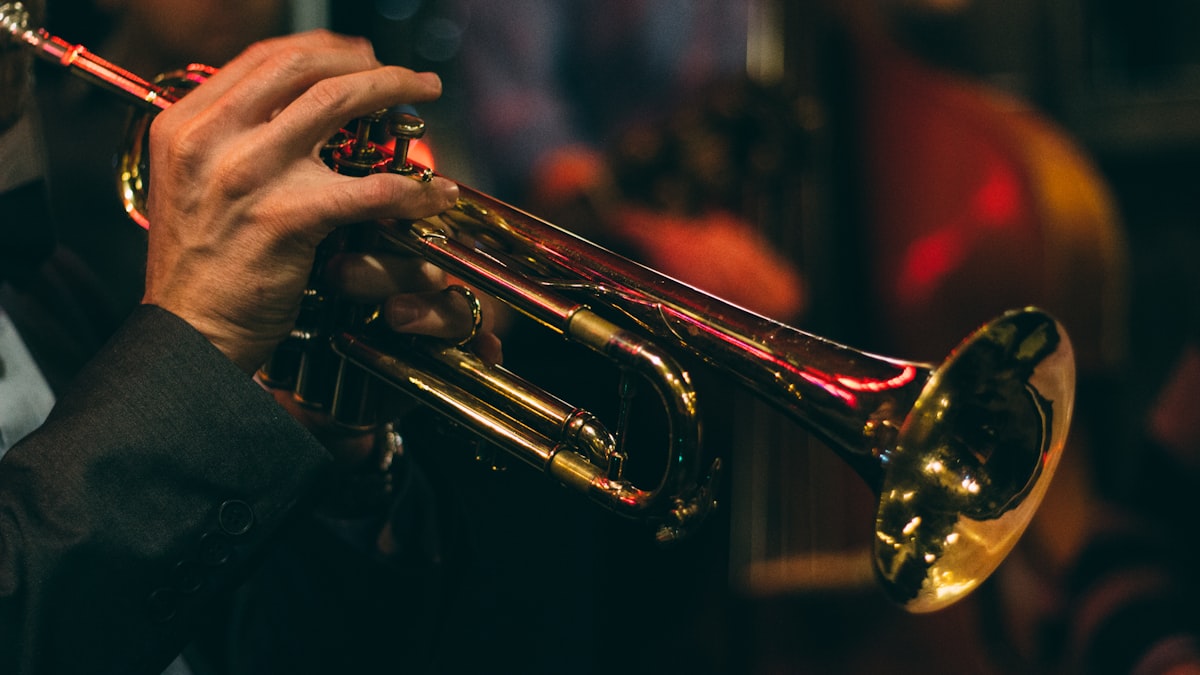 Fotografía ilustrativa de música en vivo